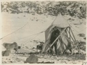 Image of Absolute Observatory tent